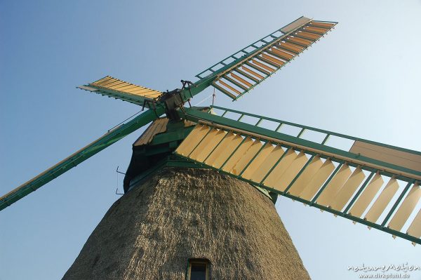 Windmühle, restauriert, reetgedeckt, Heimatmuseum von Nebel, Amrum, Amrum, Deutschland