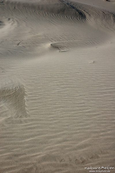 Sandmuster, Rippelmuster, Amrum, Amrum, Deutschland