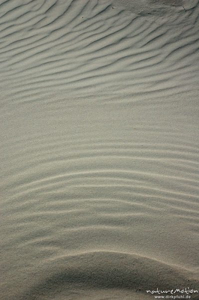 Sandmuster, Rippelmuster, Amrum, Amrum, Deutschland