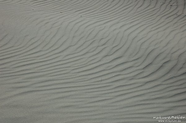 Sandmuster, Rippelmuster, Amrum, Amrum, Deutschland