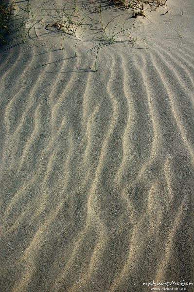 Sandmuster, Rippelmuster, Amrum, Amrum, Deutschland