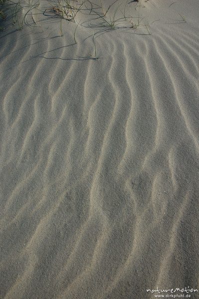 Sandmuster, Rippelmuster, Amrum, Amrum, Deutschland