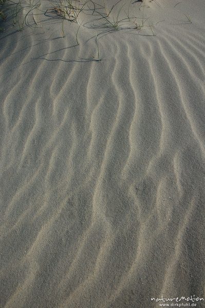 Sandmuster, Rippelmuster, Amrum, Amrum, Deutschland