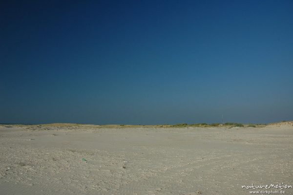 Strand, Amrum, Amrum, Deutschland