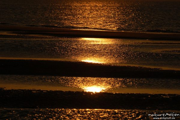Priele im Abendlicht, Lichtreflexe der tiefstehenden Sonne,  Amrum, Amrum, Deutschland