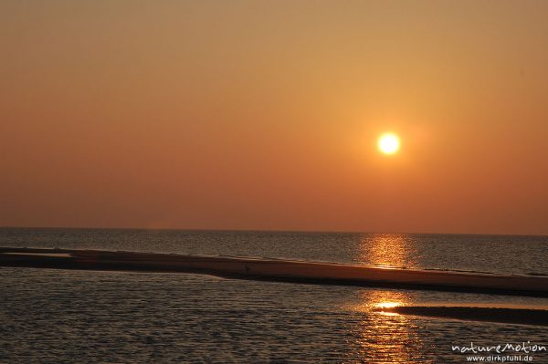 Priele im Abendlicht, Lichtreflexe der tiefstehenden Sonne,  Amrum, Amrum, Deutschland