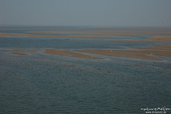 Sandbänke, Ebbe, Fährfahrt Amrum Dagebüll, Amrum, Deutschland