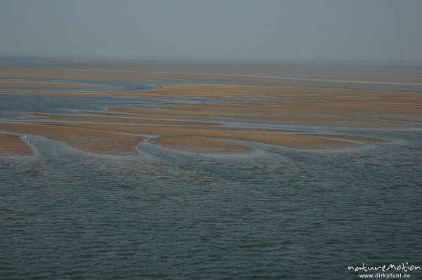 Sandbänke, Ebbe, Fährfahrt Amrum Dagebüll, Amrum, Deutschland