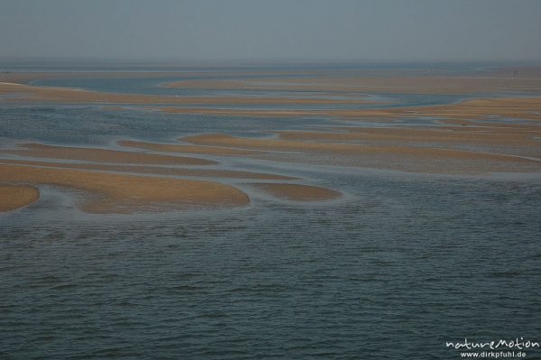 Sandbänke, Ebbe, Fährfahrt Amrum Dagebüll, Amrum, Deutschland