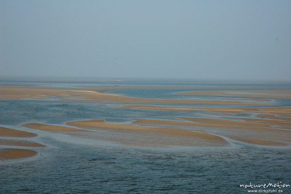 Sandbänke, Ebbe, Fährfahrt Amrum Dagebüll, Amrum, Deutschland