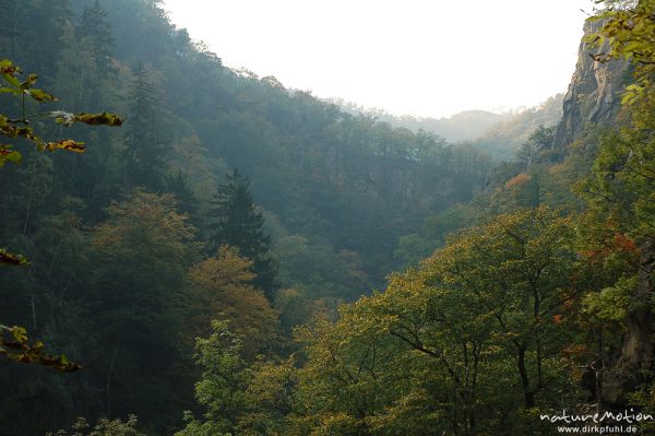 Bodetal, Schlucht mit Felsen, Eichen-Hangwald, Bodetal, Deutschland