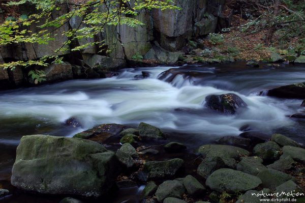 Bergbach, fließendes Wasser, Steine im Bachbett, Herbstwald, Bodetal, Bodetal, Deutschland