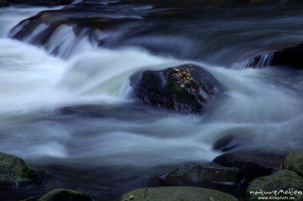 Stein in der Strömung, Bergbach, fließendes Wasser, Steine im Bachbett, Herbstwald, Bodetal, Bodetal, Deutschland