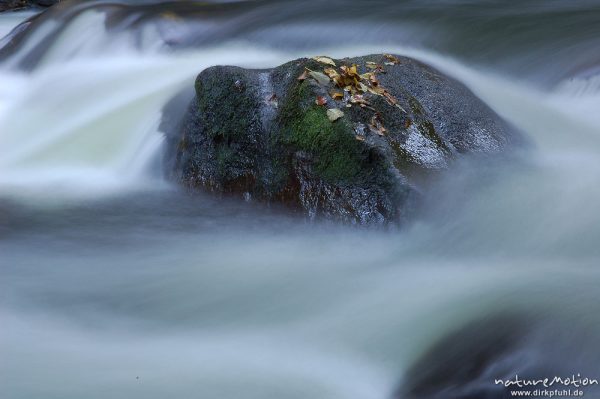 Stein in der Strömung, Bergbach, fließendes Wasser, Steine im Bachbett, Herbstwald, Bodetal, Bodetal, Deutschland