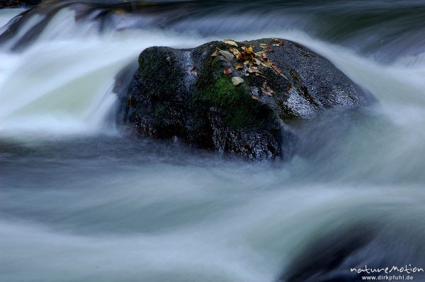 Stein in der Strömung, Bergbach, fließendes Wasser, Steine im Bachbett, Herbstwald, Bodetal, Bodetal, Deutschland