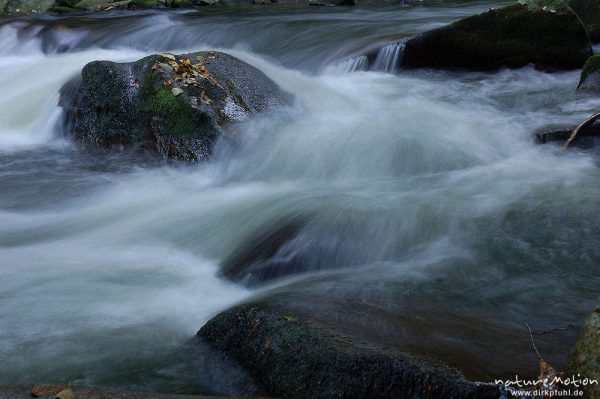 Stein in der Strömung, Bergbach, fließendes Wasser, Steine im Bachbett, Herbstwald, Bodetal, Bodetal, Deutschland