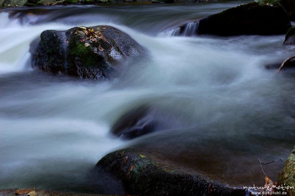 Stein in der Strömung, Bergbach, fließendes Wasser, Steine im Bachbett, Herbstwald, Bodetal, Bodetal, Deutschland