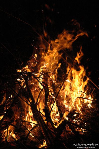 Osterfeuer im Garten von Renate Karwehl, Funkenflug, Flammen, Hamburg, Deutschland