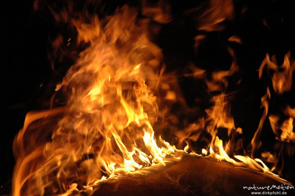 Flammen, Osterfeuer im Garten von Renate Karwehl, Hamburg, Deutschland