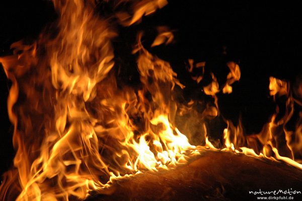 Flammen, Osterfeuer im Garten von Renate Karwehl, Hamburg, Deutschland