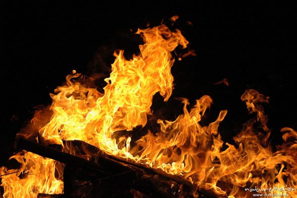 Flammen, Osterfeuer im Garten von Renate Karwehl, Hamburg, Deutschland