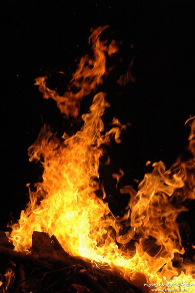Flammen, Osterfeuer im Garten von Renate Karwehl, Hamburg, Deutschland