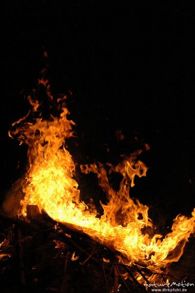 Flammen, Osterfeuer im Garten von Renate Karwehl, Hamburg, Deutschland