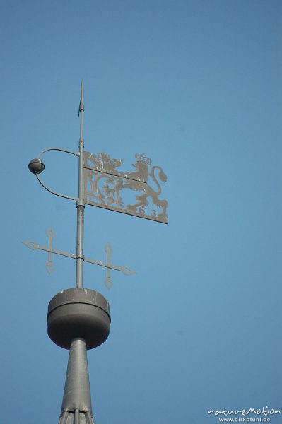 Wetterfahne, Johanniskirche, Göttingen, Göttingen, Deutschland