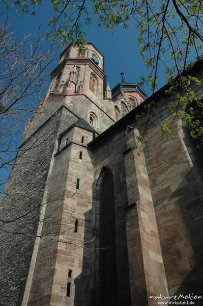 Johanniskirche, Türme, kahle Bäume, stark stürzende Linien, Göttingen, Göttingen, Deutschland