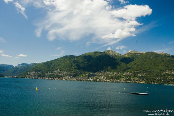 Lago Maggiore, Blick auf Locarno, Alpen, Schweiz
