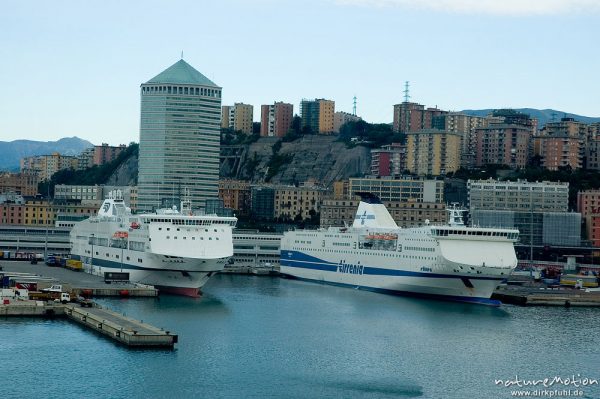 Fährschiffe, Hafen von Genua, Blick von der Fähre Genua-Bastia aus, Genua, Italien