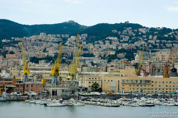 Hafen von Genua, Blick von der Fähre Genua-Bastia aus, Genua, Italien