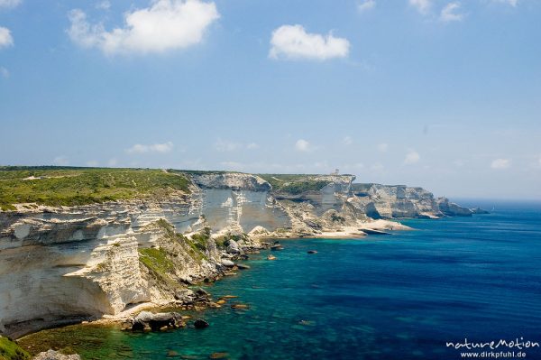 Küste mit Kreidefelsen bei Bonifacio, Korsika, Frankreich