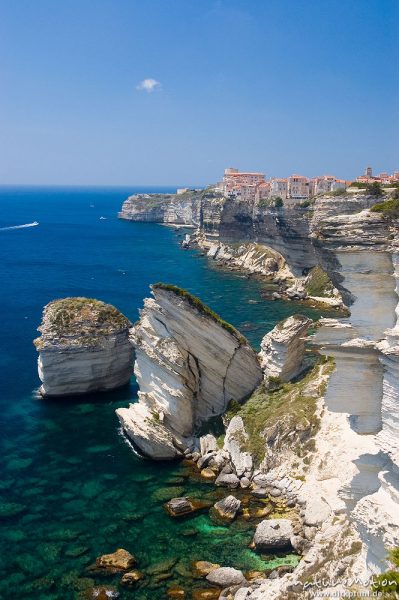 Kreidefelsen von Bonifacio, Häuser am Klippenrand über dem Meer, Korsika, Frankreich