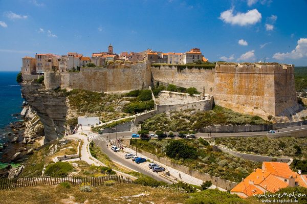 Bonifacio, Blick auf Altstadt und Festung, Korsika, Frankreich