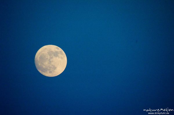 Vollmond am Abendhimmel, Bucht von Palombaggia, Korsika, Frankreich