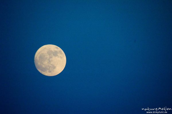 Vollmond am Abendhimmel, Bucht von Palombaggia, Korsika, Frankreich