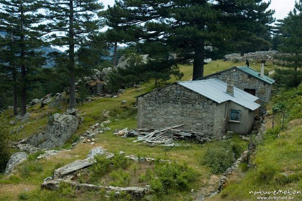 Ferienhäuser, Bavella-Gruppe, Korsika, Frankreich