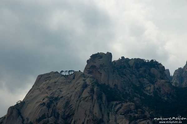 Bergzüge, Bavella-Gruppe, Solenzara-Tal, Korsika, Frankreich