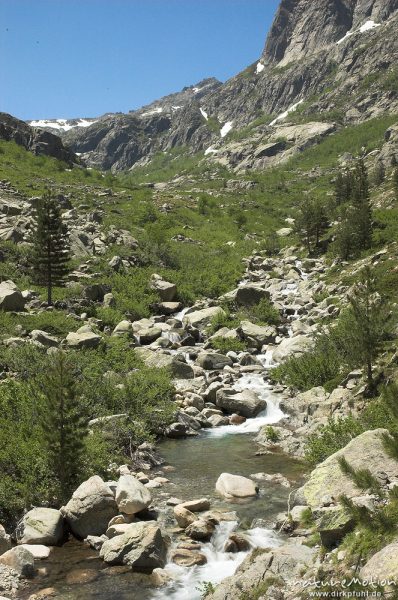 Restonica-Tal unterhalb Lac de Melo, Korsika, Frankreich