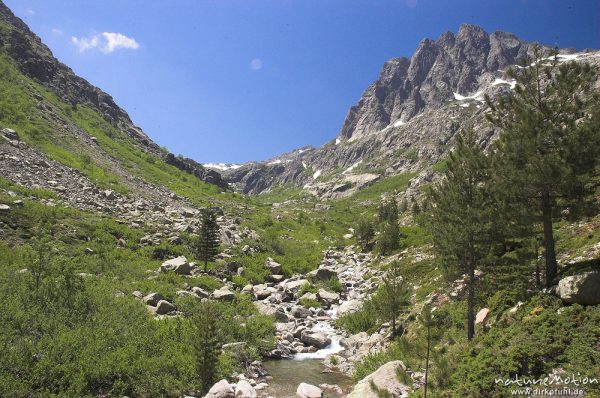 Restonica-Tal unterhalb Lac de Melo, Korsika, Frankreich