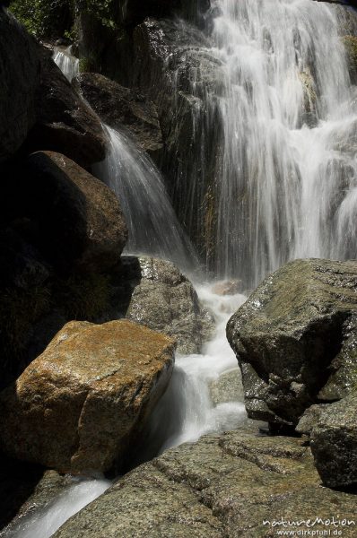 kleiner Wasserfall, Restonica-Tal unterhalb Lac de Melo, Korsika, Frankreich