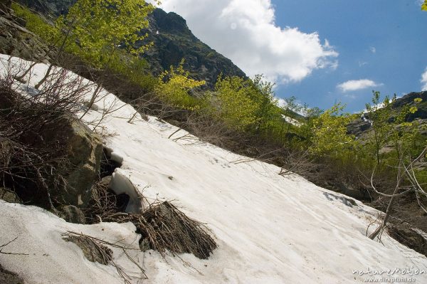 Schneefeld, Restonica-Tal, Korsika, Frankreich