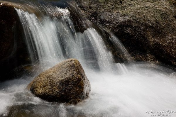 rauschender Gebirgsbach, Restonica, Korsika, Frankreich