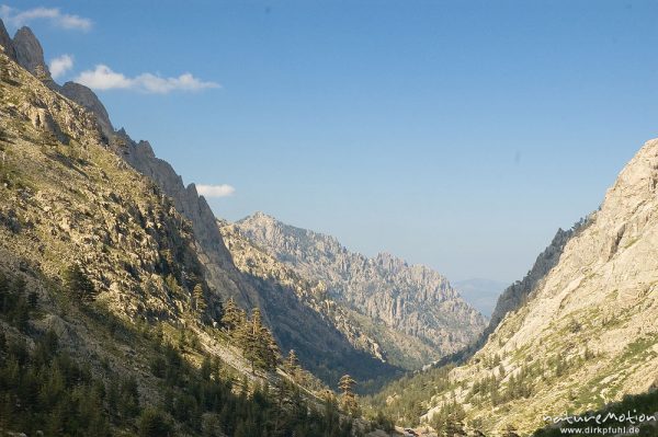 Restonica-Tal, Blick Talabwärts Richtung Corte, Korsika, Frankreich