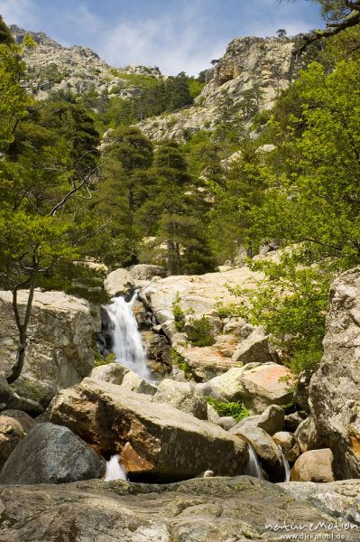 Wasserfall, Cascade des Anglais, Korsika, Frankreich