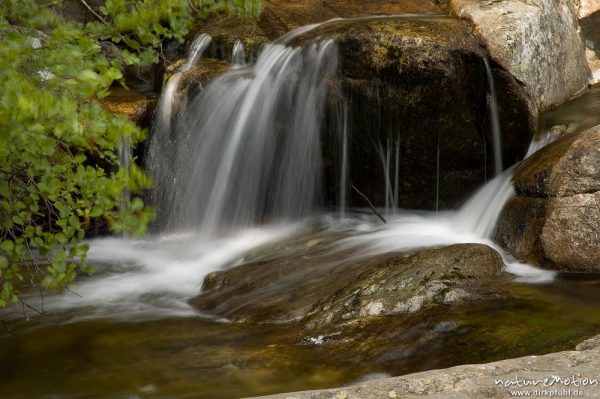 Wasserfall, Cascade des Anglais, Korsika, Frankreich