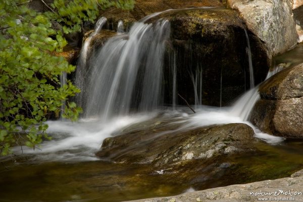 Wasserfall, Cascade des Anglais, Korsika, Frankreich