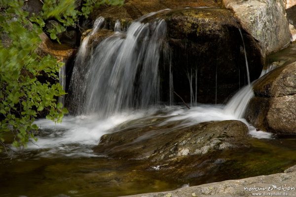 Wasserfall, Cascade des Anglais, Korsika, Frankreich