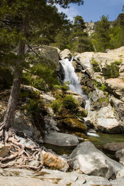 Wasserfall, Cascade des Anglais, Korsika, Frankreich